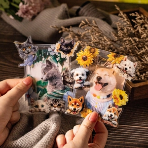Cute acrylic photo card holders with cat and dog PET tape stickers and floral decorations