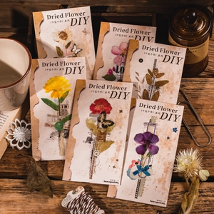 Vintage Floral PET Stickers For Scrapbooking DIY Journaling Retro Botanical Decoration Decals Butterfly Plant Handcraft Material