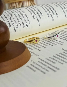Detail view of gold and silver S925 rings with red gemstones on open book pages