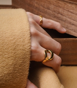 Detail of gold letter D ring and anchor chain style ring with warm wool background