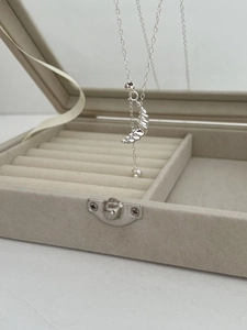 Detail of silver croissant pendant necklace presented in a beige velvet jewelry box