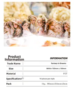 Detailed product specifications of Fantasy PET stickers with elegant girl illustrations