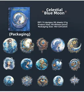 Detail view of 15 Moon Goddess PET stickers with magical moon phase character designs