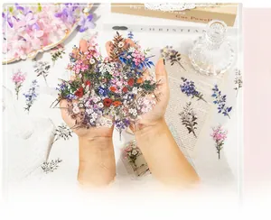 Vue détaillée d'autocollants PET floraux à effet nacré pour décoration d'albums DIY