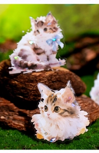 Détail macro de stickers chat en acrylique laser sur mousse et écorce de forêt