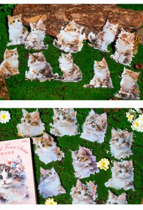 Détail des autocollants PET série forêt avec chats et fleurs sur fond de mousse