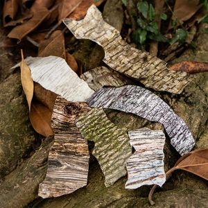 Nature-inspired forest texture decorative washi tape set for DIY journaling and scrapbooking