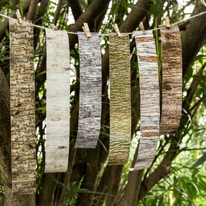 Realistic forest wood grain decorative tapes set displayed on rustic ropes in nature