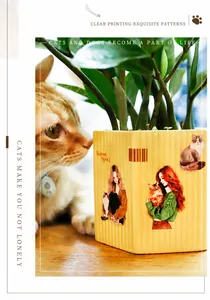 Detail of ceramic planter with kitten illustration and Kitten Spin text on wooden desk