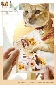 Detail of PET decorative tapes featuring cute hand-drawn cat and dog illustrations