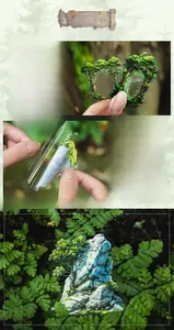 Macro shot of transparent PET forest theme stickers showing waterproof material and adhesive