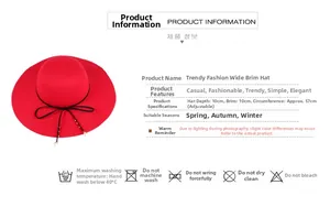 Detail view of red wide brim wool hat with size specs: 10cm depth and 10cm brim width