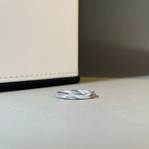 Minimalist S925 sterling silver Mobius ring with brushed texture and micro inlay design