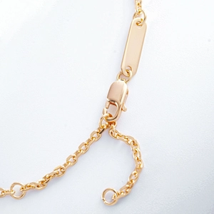 Detail of S925 silver gold bracelet featuring lobster clasp, extension chain and metal tag