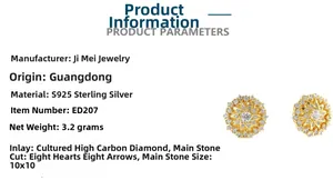 Vue macro de boucles d'oreilles en argent 925 doré avec pavage de zircones blanches brillantes