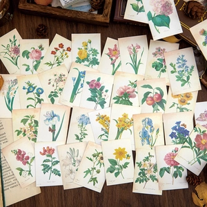 50 sheets of vintage botanical stickers featuring hand-drawn flowers and retro designs