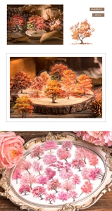 Detail of transparent vintage tree stickers featuring autumn maple and cherry blossoms