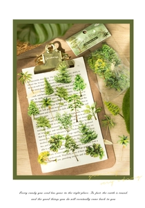 Detail of 40-piece PET forest stickers with various green tree designs on vintage clipboard