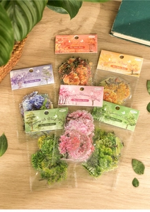 Detailed view of nature series PET stickers with green plants and floral motifs