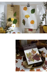 Close-up of PET leaf stickers for journaling showing vintage autumn designs and packaging