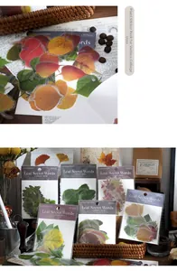 Close-up of realistic PET leaf stickers and 40-piece packaging for scrapbooking