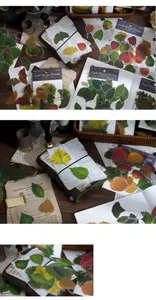 Detail of Leaf Secret Words PET stickers showing vintage botanical designs for journaling