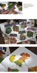 Detail of PET transparent autumn leaf stickers for journaling showing maple and ginkgo leaves