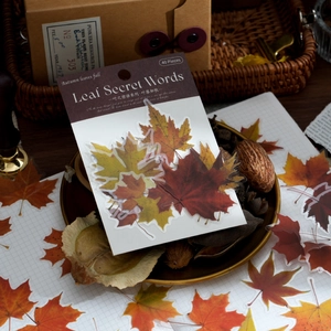 Autumn leaves PET stickers pack for scrapbooking with 40 realistic foliage designs