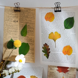 Twilight Leaf Whisper PET sticker set featuring 40 pieces of vintage botanical designs