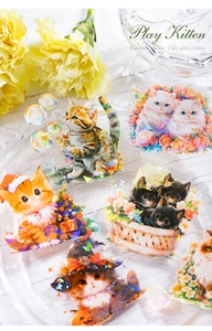 Macro detail of Play Kitten stickers with shell light laser finish on a glass plate
