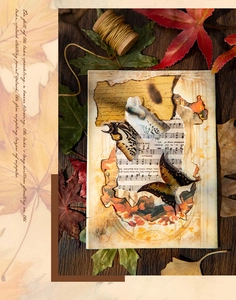 Vintage Scrapbooking-Papier mit Schmetterlingen und Musiknoten für herbstliche Tagebücher
