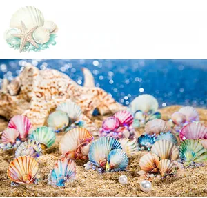Iridescent seashell decorative stickers with pearl accents on a sandy beach setting