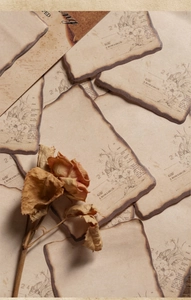 Close-up of vintage aesthetic burnt edge memo paper with floral sketches and retro notes
