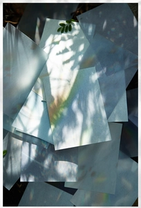 Artistic decorative paper with rainbow light reflections and soft tree shadows