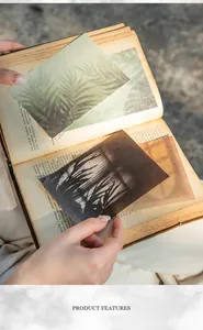 Detail showing translucent vellum material paper with botanical shadow patterns on a book