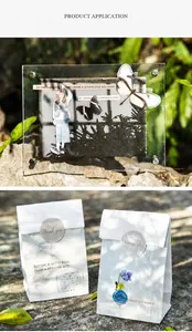 Detailed view of artistic butterfly ephemera and vintage paper bags with quotes