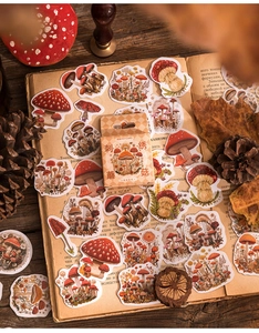 Close-up of vintage mushroom stickers on retro book pages with pine cones and box