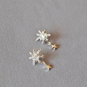 Versilbertes Messing Schneeflocke Stern Ohrstecker Mit Zirkonia Glänzende Sternenstrahl Ohrringe 925 Sterlingsilber Ohrstecker-Stift