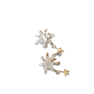 Funkelnde Stern-Ohrstecker mit Zirkonia und 925er Silbernadel in Gold und Silber Farbtönen