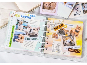 Detail view of 6-hole transparent ring binder with cute pet animal stickers and DIY decor