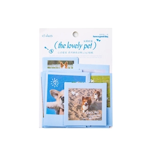 45 sheets Corgi dog theme LOMO stickers in white card packaging for DIY stationery decor