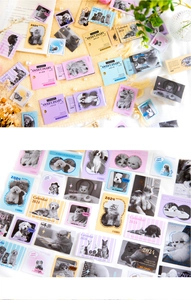 Macro shot of 100pcs cute cat and dog stationery stickers and 2024 calendar pack