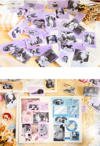 Detail of 2024 pet calendar stickers for DIY journaling with cat and dog photography