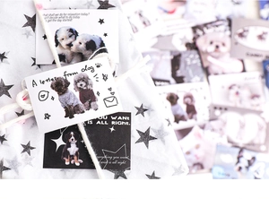 Gros plan d'autocollants mignons chiens et chats de la série Everland pour scrapbooking