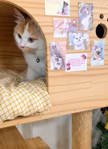 Détail d'un lit pour chat en bois semi-fermé avec autocollants et coussin à carreaux