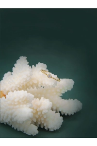 Macro view of gold beaded 925 sterling silver ring with a zircon centerpiece