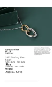 Detail of interlocking double ring pendant in S925 sterling silver with two-tone finish