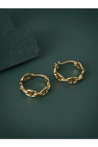 Detailed view of gold pig nose chain link earrings on a textured green background