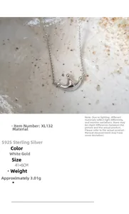 Detail view of crown pendant in S925 sterling silver with dimensions and weight data