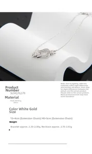 Detail of S925 sterling silver horseshoe link chain with micro-paved sparkling diamonds